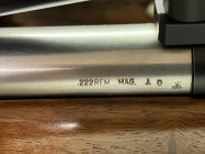 IMG_0252.jpeg