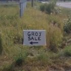 gtojsale.jpg