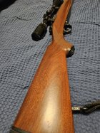 20230911_211505.jpg