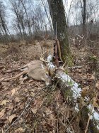 IMG_4230.jpeg
