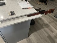 IMG_2238.jpeg