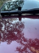 IMG_1116.jpeg