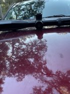 IMG_1115.jpeg