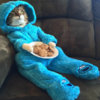 CookiesCat.jpg
