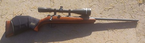 CZ455Scout20inch (2).jpg CZ455Scout20inch (2).jpg