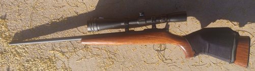 CZ455Scout20inch (3).jpg CZ455Scout20inch (3).jpg