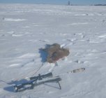 IMG_20200120_115233805~2.jpg