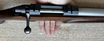 IMG_4575.jpeg