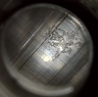 IMG_4566.jpeg