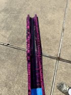 IMG_2913.jpeg