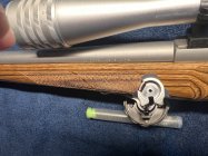 IMG_2265.jpeg