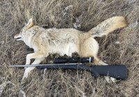 IMG_1846.jpeg