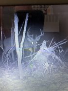 IMG_1773.jpeg