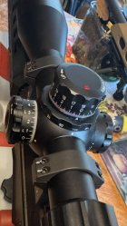 IMG_8146.jpeg