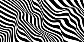 IMG_4305.jpeg