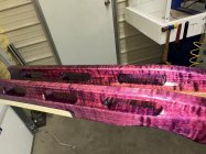 IMG_2979.jpeg
