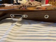IMG_1999.jpeg