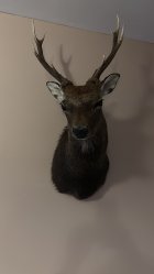 6F178377-F752-4CEA-B8B9-0BF72C58DB85.jpeg