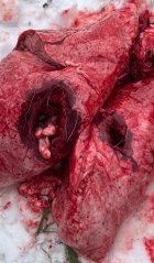 IMG_4297.jpeg