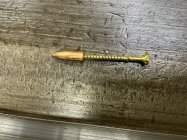 IMG_0308.jpeg
