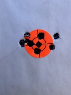 IMG_1495.jpeg