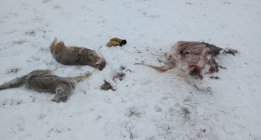 IMG_20241221_091023896~2.jpg