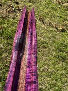 IMG_3172.jpeg