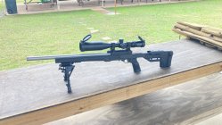 IMG_4963.jpeg