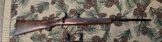 Kimber 1.jpg