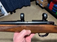Kimber 2.jpg