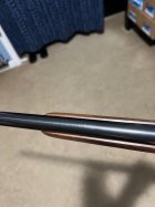 Kimber 3.jpg