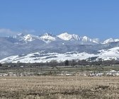 IMG_0616.jpeg