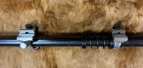 IMG_9956.jpeg