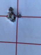 IMG_1707.jpeg