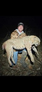Big kitty 2024.jpg