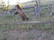 IMG_0038.JPG