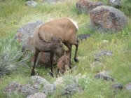 IMG_0807.JPG