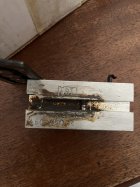 IMG_2117.jpeg