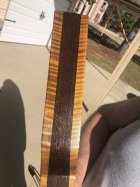 IMG_8844.jpeg