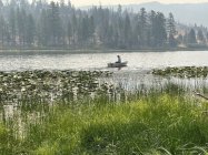 IMG_3343.jpeg