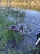 IMG_3324.jpeg