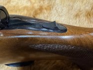 IMG_0003.jpeg