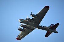 IMG_3387.JPG