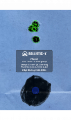 Ballistic-X-Export-2025-01-06 16:19:56.988630.png