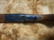 IMG_0052.jpeg
