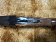 IMG_0053.jpeg