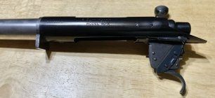 IMG_2587.jpeg