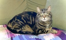 IMG_2823.jpeg