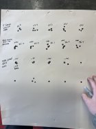 IMG_7254.jpeg