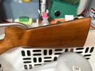 IMG_1030.jpeg